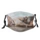 yanfind Isolated Fur Young Mother Life Cat Kitty Cute Newborn Searching Baby Puss Dust Washable Reusable Filter and Reusable Mouth Warm Windproof Cotton Face