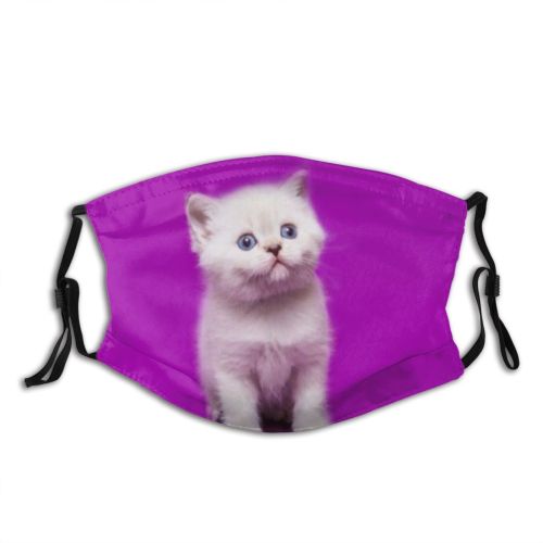 yanfind Asks Pat Fur Apps Little Cat Game British Cute Straight Striped Wool Dust Washable Reusable Filter and Reusable Mouth Warm Windproof Cotton Face