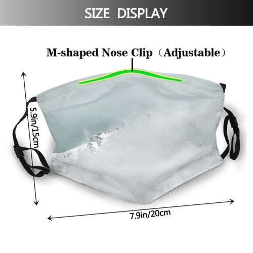 yanfind Ice Glacier Daylight Frost Frosty Snowy Forest Clouds Daytime Frozen Scenery Capped Dust Washable Reusable Filter and Reusable Mouth Warm Windproof Cotton Face