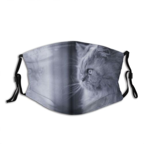 yanfind Isolated Reflection Fur Young Cat Kitty Cute Grey Window Mirror Flowers Nostalgic Dust Washable Reusable Filter and Reusable Mouth Warm Windproof Cotton Face
