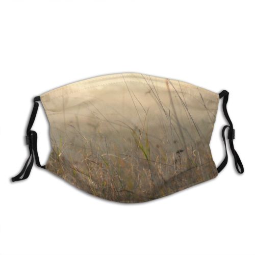 yanfind Family Prairie Grassland Ecoregion Sunset Plant Sky Grass Natural Grass Atmospheric Afternoon Dust Washable Reusable Filter and Reusable Mouth Warm Windproof Cotton Face