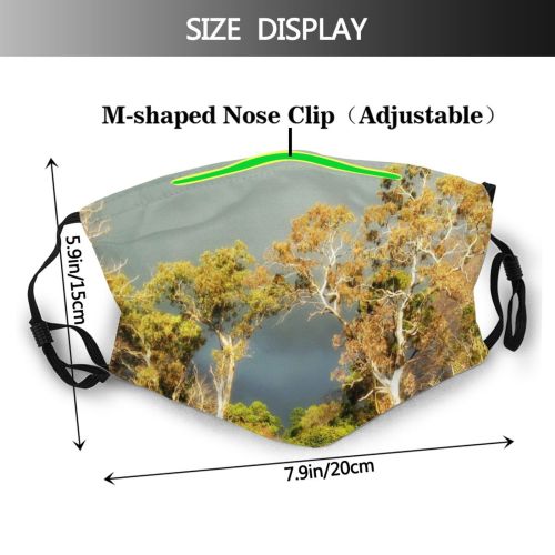 yanfind Winter Hom Form Bushes Outside Natural Meteorological Landscape Landscape Vegetation Sky Plant Dust Washable Reusable Filter and Reusable Mouth Warm Windproof Cotton Face