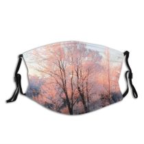 yanfind Winter Sky Morning Winter Natural Branches Landscape Sky Snow Clouds Sunrise Tree Dust Washable Reusable Filter and Reusable Mouth Warm Windproof Cotton Face