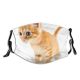 yanfind Isolated Fur Young Little Cat Kitty Cute Striped Carnivore Shorthair Purr Household Dust Washable Reusable Filter and Reusable Mouth Warm Windproof Cotton Face