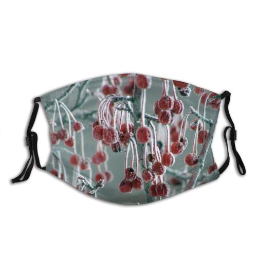 yanfind Winter Wisconsin Frost Bushes Crab Cranberry Frigid Plant Ice Branch December Flower Dust Washable Reusable Filter and Reusable Mouth Warm Windproof Cotton Face