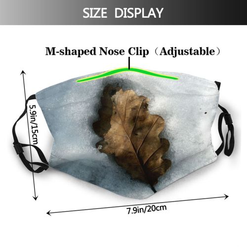 yanfind Cloud Leaf Maple Leaf Sky Reflection Plant Tree Winter Freezing Snow Dust Washable Reusable Filter and Reusable Mouth Warm Windproof Cotton Face