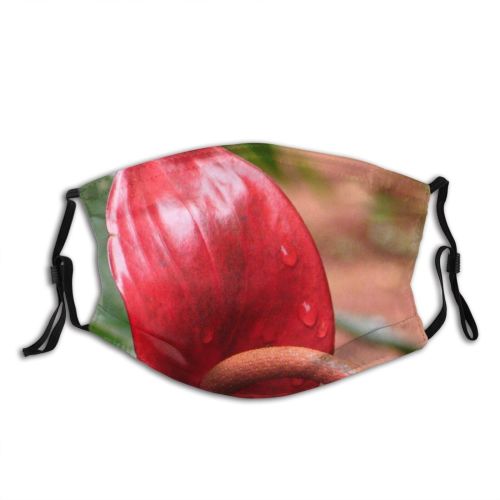 yanfind Plant Exotic Flower Fruit Flower Dominican Plant Forest Family Botany Lily Petal Dust Washable Reusable Filter and Reusable Mouth Warm Windproof Cotton Face