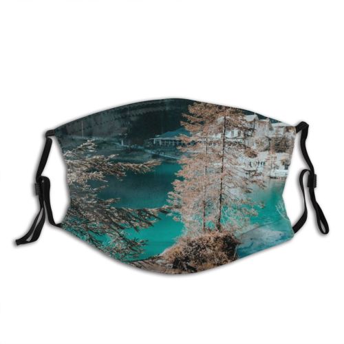 yanfind Idyllic Calm Pine Daytime Coniferous Tranquil Scenery Mountains Trees Outdoors Wilderness Peaceful Dust Washable Reusable Filter and Reusable Mouth Warm Windproof Cotton Face