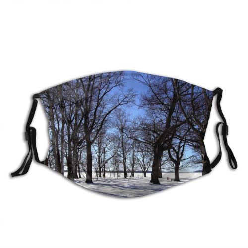 yanfind Winter Landscape Landscape Sky Plant Tree Sweden Branch Snow Plant Winter Natural Dust Washable Reusable Filter and Reusable Mouth Warm Windproof Cotton Face