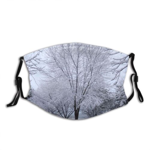 yanfind Winter Winter Natural Atmospheric Michigan Woody Landscape Plant Branch Snow Tree Frost Dust Washable Reusable Filter and Reusable Mouth Warm Windproof Cotton Face