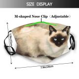 yanfind Isolated Brush Elegant Header Cat Kitty Cute Brochure Fauna Artistic Design Beautiful Dust Washable Reusable Filter and Reusable Mouth Warm Windproof Cotton Face