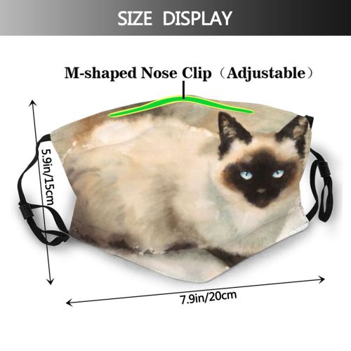 yanfind Isolated Brush Elegant Header Cat Kitty Cute Brochure Fauna Artistic Design Beautiful Dust Washable Reusable Filter and Reusable Mouth Warm Windproof Cotton Face