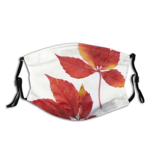 yanfind Flowering Deciduous Leaf Maple Leaf Plant Maple Flower Tree Plant Autumn Woody Dust Washable Reusable Filter and Reusable Mouth Warm Windproof Cotton Face