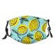 yanfind Cartoon Tropical Cute Design Fresh Art Citrus Kitchen Exotic Whole Seamless Summer Dust Washable Reusable Filter and Reusable Mouth Warm Windproof Cotton Face