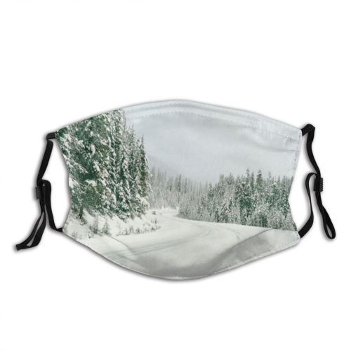 yanfind Ice Transport Columbia America Range Landscape Majestic Trip Frozen Journey Peak Tree Dust Washable Reusable Filter and Reusable Mouth Warm Windproof Cotton Face