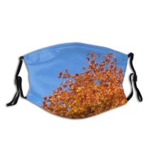 yanfind Deciduous Leaf Trees Sky Plant Spring Tree Plant Branch Autumn Autumn Woody Dust Washable Reusable Filter and Reusable Mouth Warm Windproof Cotton Face