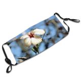 yanfind Flower Stem Insect Plant Wildflower Branch Flor Petal Flower Abelha Bee Flowering Dust Washable Reusable Filter and Reusable Mouth Warm Windproof Cotton Face