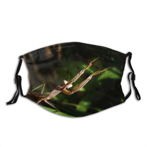 yanfind Strike Insect Plant Mantis Branch Predator Praying Leaf Organism Attack Macro Bug Dust Washable Reusable Filter and Reusable Mouth Warm Windproof Cotton Face