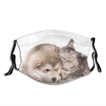 yanfind Friends Isolated Malamute Lovely Young Relations Ear Together Little Cat Relationship Cute Dust Washable Reusable Filter and Reusable Mouth Warm Windproof Cotton Face