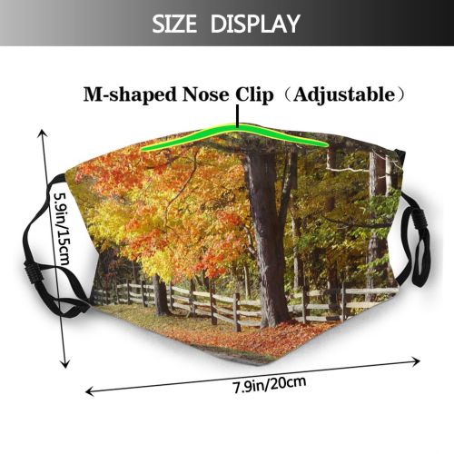 yanfind Natural Autumn Woody Rail Leaves Landscape Maple Plant Fall Sky Fence Road Dust Washable Reusable Filter and Reusable Mouth Warm Windproof Cotton Face