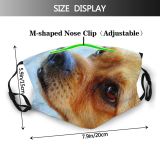 yanfind Dog Companion Carnivore Canidae Eye Nose Snout Dog Dust Washable Reusable Filter and Reusable Mouth Warm Windproof Cotton Face