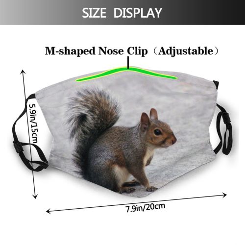 yanfind Ground Squirrel Furry Tail Bushy Nuts Squirrels Chipmunk Rodent Vertebrate Squirrel Fox Dust Washable Reusable Filter and Reusable Mouth Warm Windproof Cotton Face