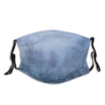 yanfind Winter Frozen Winter Natural Atmospheric Sun Landscape Sky Branch Snow Threes Road Dust Washable Reusable Filter and Reusable Mouth Warm Windproof Cotton Face