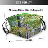 yanfind Temperate Natural Woody Growth Leaves Plant Broadleaf Wood Forest Hardwood Northern Tree Dust Washable Reusable Filter and Reusable Mouth Warm Windproof Cotton Face
