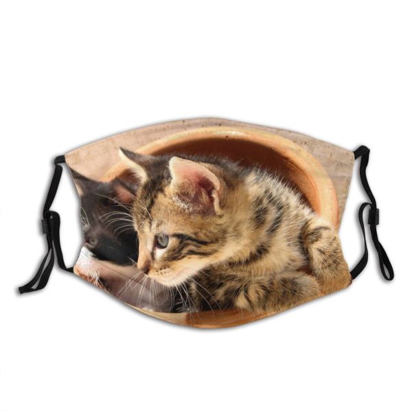 yanfind Felidae Sized Tabby Pot Happiness Prey Shorthair Carnivore Cat Short Whiskers Hunt Dust Washable Reusable Filter and Reusable Mouth Warm Windproof Cotton Face