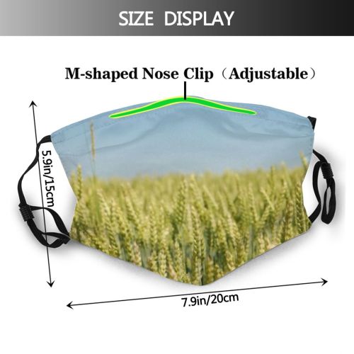 yanfind Cereal Wheat Buckwheat Season Field Spring Sky Stem Grow Spike Farming Farm Dust Washable Reusable Filter and Reusable Mouth Warm Windproof Cotton Face