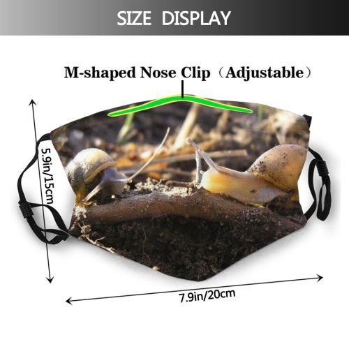 yanfind Shell Snails Slugs Meeting Molluscs Plant Soil Escargot Snail Slug Time Terrestrial Dust Washable Reusable Filter and Reusable Mouth Warm Windproof Cotton Face