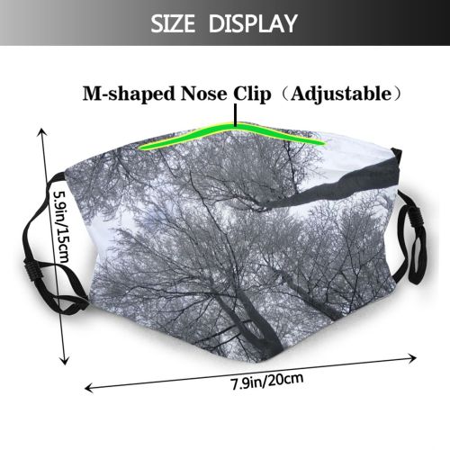 yanfind Winter Winter Atmospheric Woody Sky Plant Branch Twig Tree Tree Plant Freezing Dust Washable Reusable Filter and Reusable Mouth Warm Windproof Cotton Face