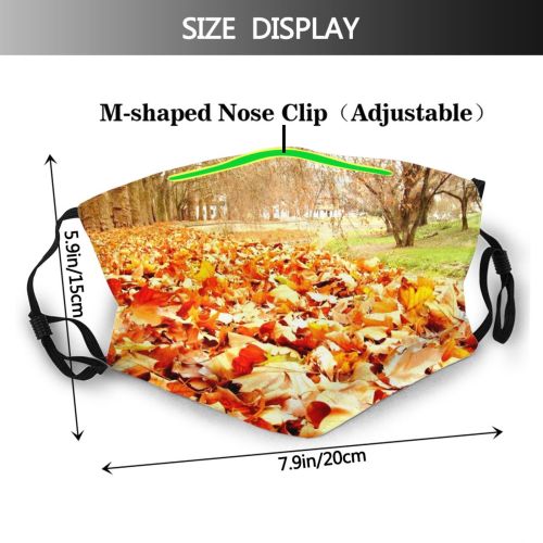 yanfind Deciduous Landscape Leaf Plant Spring Tree Plant Autumn Natural Autumn Woody Dust Washable Reusable Filter and Reusable Mouth Warm Windproof Cotton Face