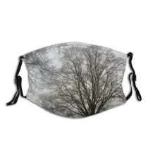 yanfind Winter Frost Natural Atmospheric Woody Netherlands Landscape Sky Plant Comp Branch Tree Dust Washable Reusable Filter and Reusable Mouth Warm Windproof Cotton Face