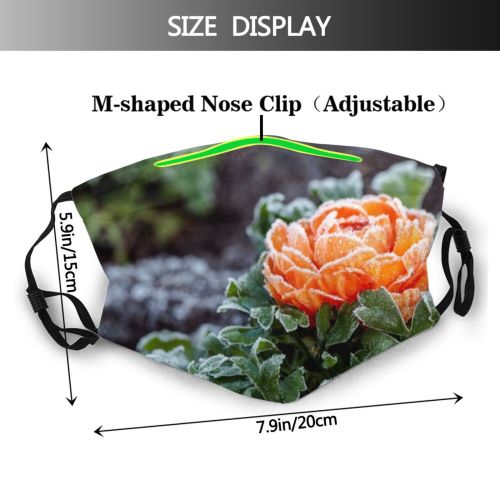 yanfind Ice Berkshire Frost Bloom Fragility Leaf Ranunculales Petal Foreground Flower Focus UK Dust Washable Reusable Filter and Reusable Mouth Warm Windproof Cotton Face
