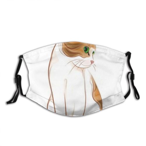 yanfind Cat Kitty Cute Rust Adorable Purr Contour Posing Ginger Puss Charming Beautiful Dust Washable Reusable Filter and Reusable Mouth Warm Windproof Cotton Face