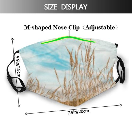 yanfind Cereal Wheat Beach Beautiful Grain Meadow Field Season Spring Scene Sky Garden Dust Washable Reusable Filter and Reusable Mouth Warm Windproof Cotton Face
