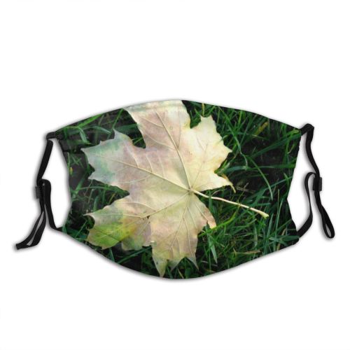 yanfind Leaf Maple Leaf Maple Fall Plant Tree Plant Botany Grass Autumn Plane Dust Washable Reusable Filter and Reusable Mouth Warm Windproof Cotton Face
