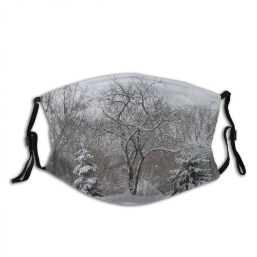 yanfind Winter Winter Natural Atmospheric Landscape Branch Snow Tree Frost Trees Freezing Silouette Dust Washable Reusable Filter and Reusable Mouth Warm Windproof Cotton Face