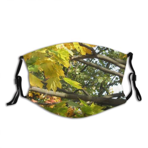 yanfind Flowering Leaf Trees Plant Tree Plant Branch Autumn Plane Woody Park Flower Dust Washable Reusable Filter and Reusable Mouth Warm Windproof Cotton Face