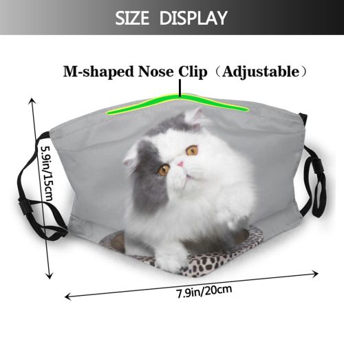 yanfind Fur Cat Cute Pretty Pet Cats Studio Furry Portrait Kitten Adorable Dust Washable Reusable Filter and Reusable Mouth Warm Windproof Cotton Face