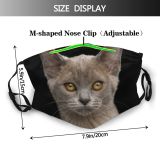 yanfind Isolated Whisker Young Little Cat Kitty Burmese Attention Shorthair Listening Pedigreed Soft Dust Washable Reusable Filter and Reusable Mouth Warm Windproof Cotton Face