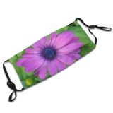 yanfind Plant Annual Flower Lilac Flower Petal Daisy Plant Purple Outdoor Botany Petal Dust Washable Reusable Filter and Reusable Mouth Warm Windproof Cotton Face