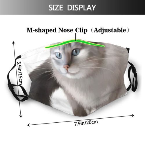 yanfind Isolated Fur Young Cat Cute Staring Baby Pet Fluffy Eyes Furry Tame Dust Washable Reusable Filter and Reusable Mouth Warm Windproof Cotton Face