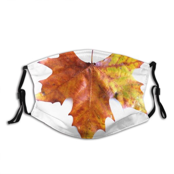 yanfind Texture Maple Autumn Woody Maple Plant Fall Plane Leaf Leaf Tree Autumn Dust Washable Reusable Filter and Reusable Mouth Warm Windproof Cotton Face