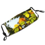 yanfind Sun Woody Leaves Branch Plant Branch Flower Flowering Leaf Forest Sunlight Leaf Dust Washable Reusable Filter and Reusable Mouth Warm Windproof Cotton Face
