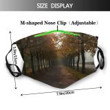 yanfind Morning Natural Atmospheric Sun Autumn Woody Landscape Haze Big Sunny Sunlight Leaf Dust Washable Reusable Filter and Reusable Mouth Warm Windproof Cotton Face