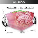 yanfind Plant Centifolia Flower Rosa Plant Beauty Natural × Flowers Common Macro Spring Dust Washable Reusable Filter and Reusable Mouth Warm Windproof Cotton Face