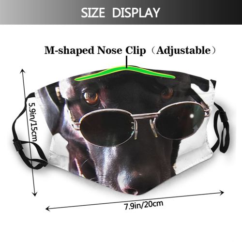 yanfind Dog Advertising Fashion Canidae Smile Show Adv Cinema Dog Fun Carnivore Friends Dust Washable Reusable Filter and Reusable Mouth Warm Windproof Cotton Face