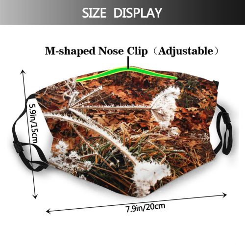 yanfind Winter Greenery Stem Winter Autumn Leaves Plant Wildflower Ice Branch Wood Flower Dust Washable Reusable Filter and Reusable Mouth Warm Windproof Cotton Face